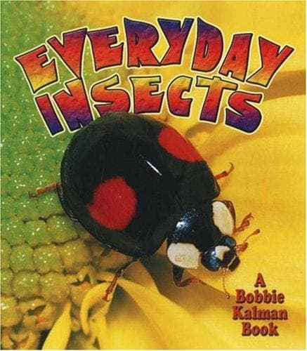 Everyday insects