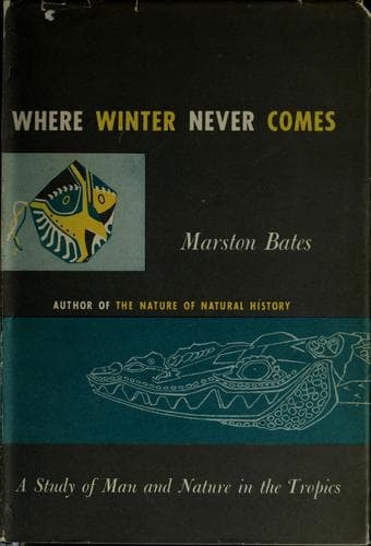 Where winter never comes