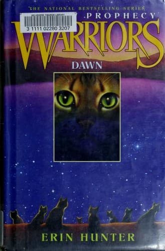 Dawn
